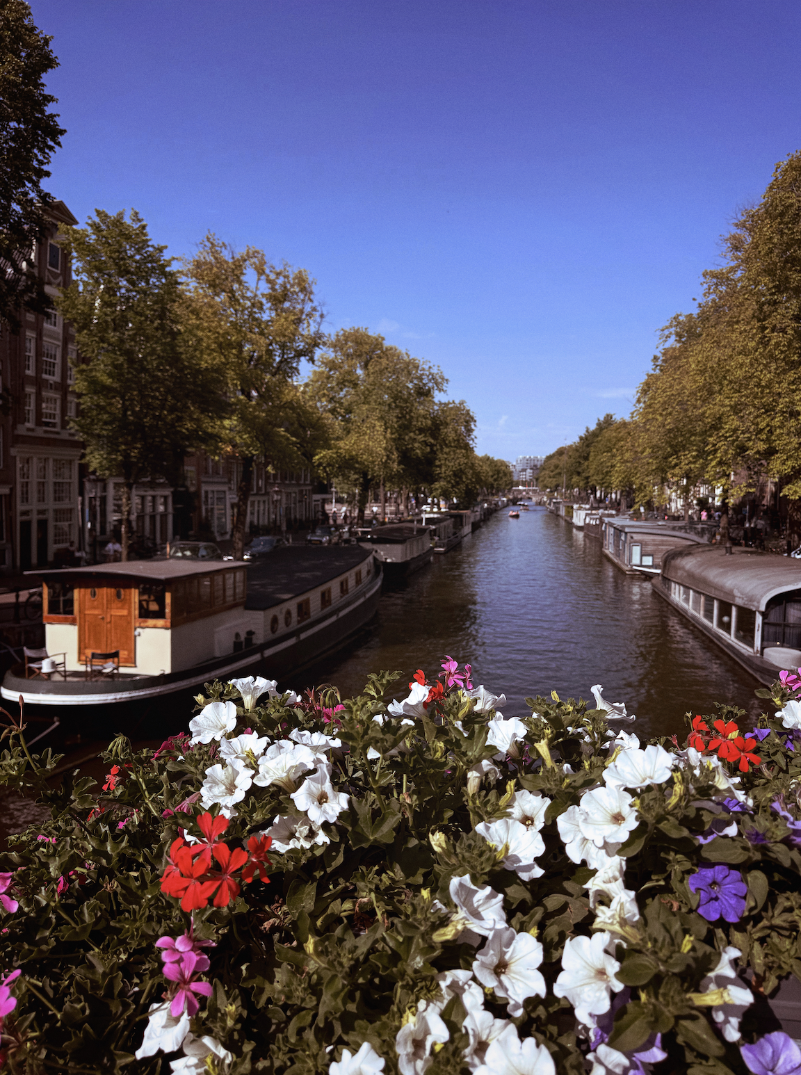 Walk the Canals of Amsterdam
